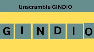 Unscramble GINDIO Jumble Word Today