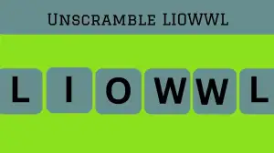 Unscramble LIOWWL Jumble Word Today