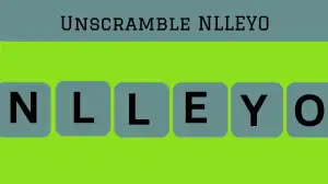 Unscramble NLLEYO Jumble Word Today