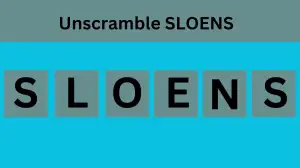 Unscramble SLOENS Jumble Word Today