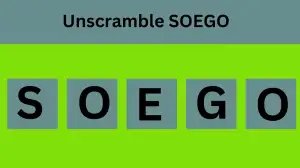 Unscramble SOEGO Jumble Word Today