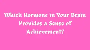 Which Hormone in Your Brain Provides a Sense of Achievement? Persona 3 Reload Class Room Answer