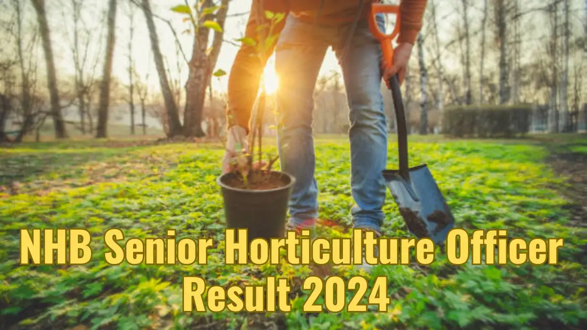NHB Senior Horticulture Officer Result 2024 Out - Where to Check it? Cut off Details, and More