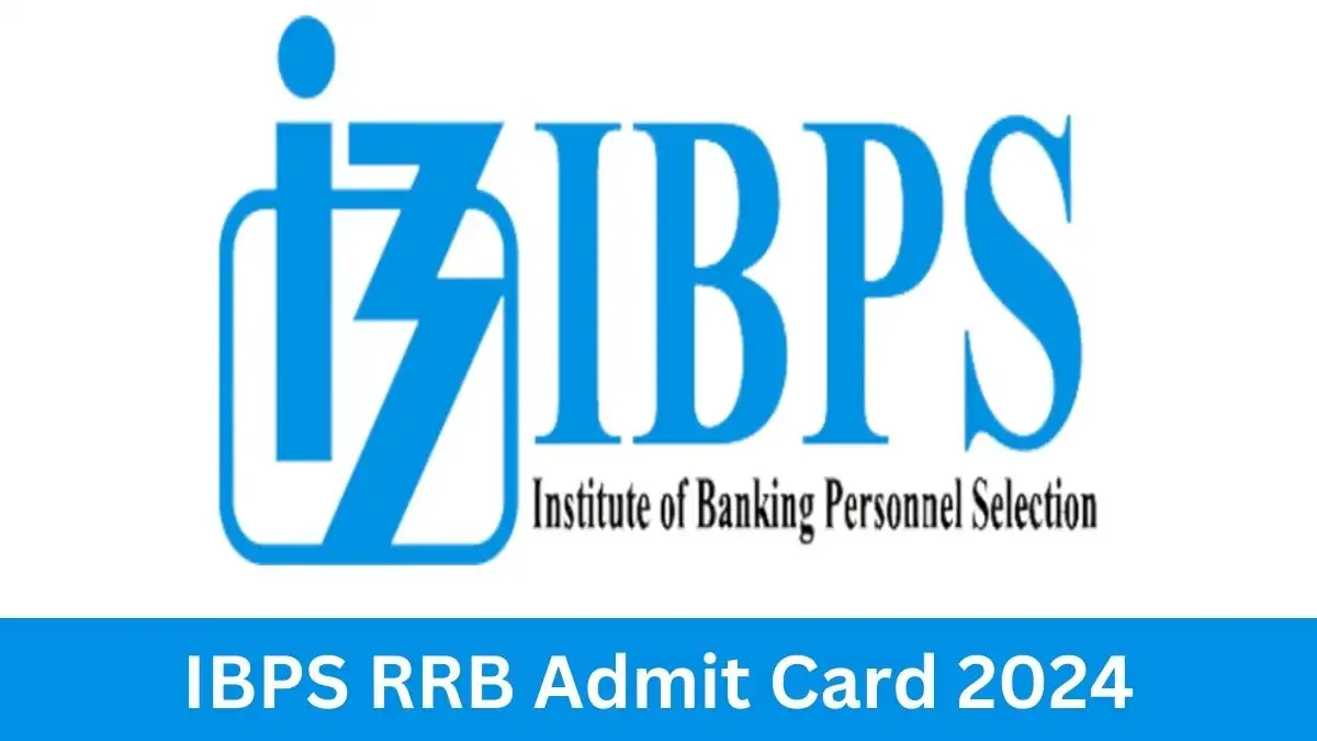 IBPS RRB Clerk Admit Card 2024 Check Exam Date 2024 and How to Download