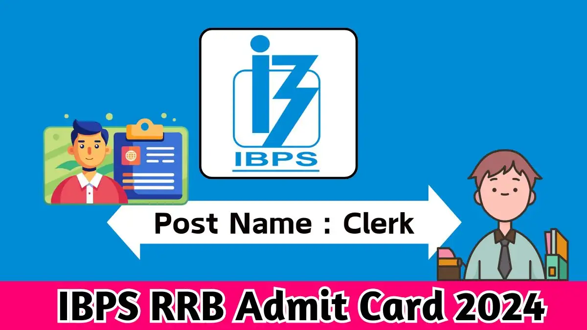 IBPS RRB Clerk Admit Card 2024 Out Download Admit Card at ibps.in