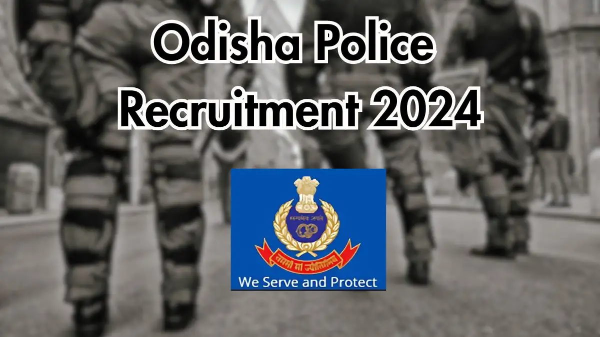 Odisha Police Recruitment 2024: 177 Junior Clerk Positions Available – Check Eligibility at opclerk.cbexams.com