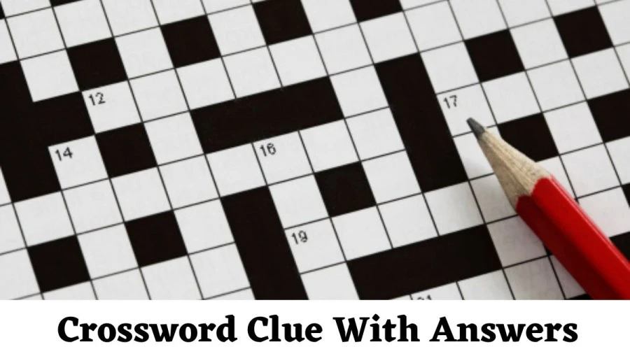 Hustle Crossword Clue Newsday Crossword Answer - News