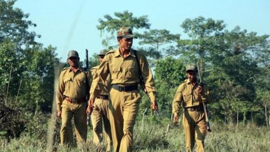 CG Forest Guard Recruitment 2020: 10TH Pass, Apply for 291 Forest Guard Jobs