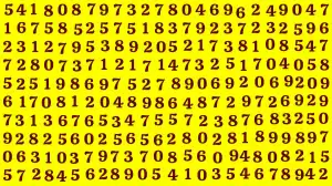 Number Illusion Brain Test: Only 50 50 HD Vision People can Find the Number 8766 in 12 Secs