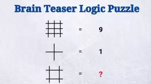 Brain Teaser Logic Puzzle: Can You Solve This Puzzle?