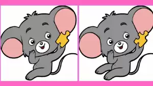 Spot 3 differences between the Rat image in 12 seconds!