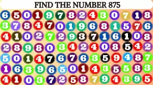 Hidden Number Puzzle: Can You Find the Hidden Number 875 within 10 Secs?