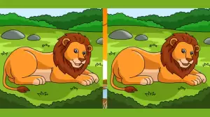 Only the sharpest minds can find 3 differences between the Lion pictures in 10 Seconds!