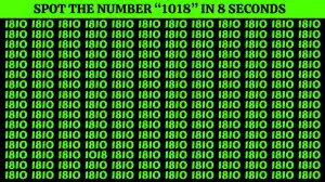 Quick-Thinker's Challenge: Find the Hidden Number 1018 in 8 Secs