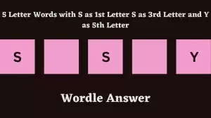 5 Letter Words with S as 1st Letter S as 3rd Letter and Y as 5th Letter All Words List