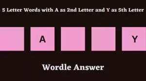 5 Letter Words with A as 2nd Letter and Y as 5th Letter All Words List