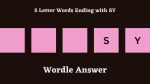 5 Letter Words Ending with SY All Words List