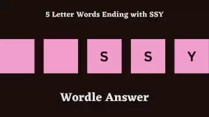 5 Letter Words Ending with SSY All Words List