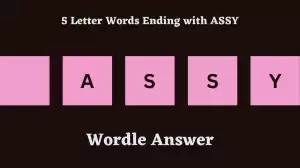 5 Letter Words Ending with ASSY All Words List