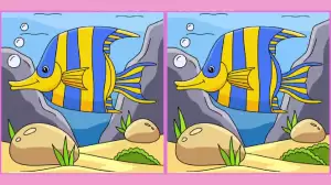 Prove yourself by finding 3 differences between the Fish picture in 15 seconds