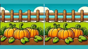 Only true observers will be able to spot 3 differences in the Pumpkin Garden picture within 18 Seconds