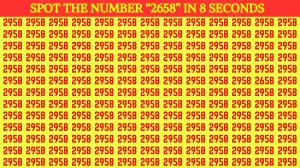 Thinking Test: Can you Spot the Hidden Number 2658 in Less than 8 Secs