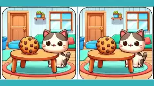 Can you spot 3 differences between the Cat picture in 20 seconds? Only 5% will pass