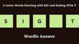 5 Letter Words Starting with SIG and Ending With T All Words List