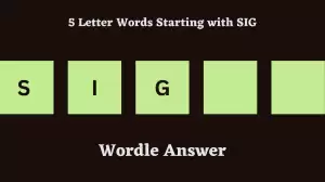 5 Letter Words Starting with SIG All Words List