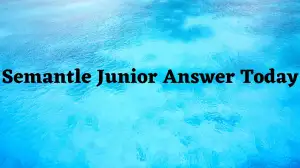 Semantle Junior Answer Today November 21 2023