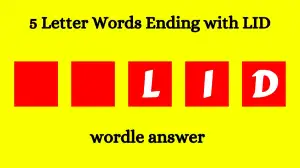 5 Letter Words Ending with LID All Words List