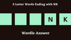 5 Letter Words Ending with NK All Words List