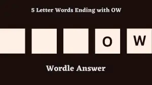 5 Letter Words Ending with OW All Words List