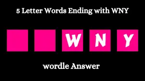 5 Letter Words Ending with WNY All Words List