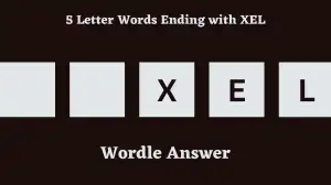 5 Letter Words Ending with XEL All Words List