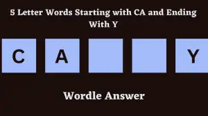 5 Letter Words Starting with CA and Ending With Y All Words List