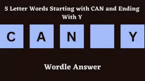 5 Letter Words Starting with CAN and Ending With Y All Words List