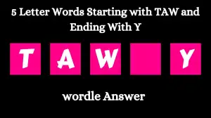 5 Letter Words Starting with TAW and Ending With Y All Words List