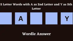 5 Letter Words with A as 2nd Letter and Y as 5th Letter All Words List