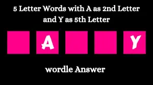 5 Letter Words with A as 2nd Letter and Y as 5th Letter All Words List