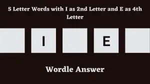 5 Letter Words with I as 2nd Letter and E as 4th Letter All Words List