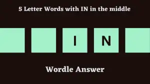 5 Letter Words with IN in the middle All Words List