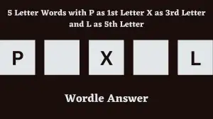 5 Letter Words with P as 1st Letter X as 3rd Letter and L as 5th Letter All Words List