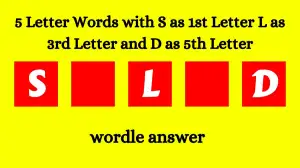 5 Letter Words with S as 1st Letter L as 3rd Letter and D as 5th Letter All Words List