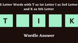 5 Letter Words with T as 1st Letter I as 3rd Letter and K as 5th Letter All Words List