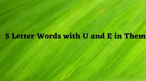 5 Letter Words with U and E in them All Words List