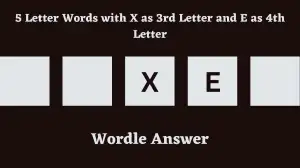 5 Letter Words with X as 3rd Letter and E as 4th Letter All Words List