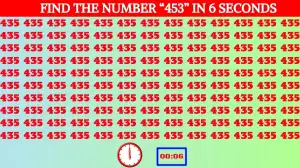 Are you smart enough to Find the Number 453 in 6 Secs?