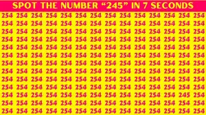 Brain Teaser Challenge: Can you spot the Hidden Number 245 in 7 Seconds?