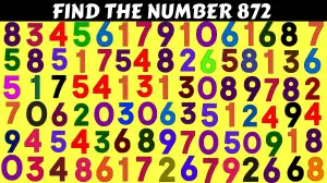 Brain Teaser for Geniuses: If you have 50/50 Vision Find the Number 872 in 15 Secs